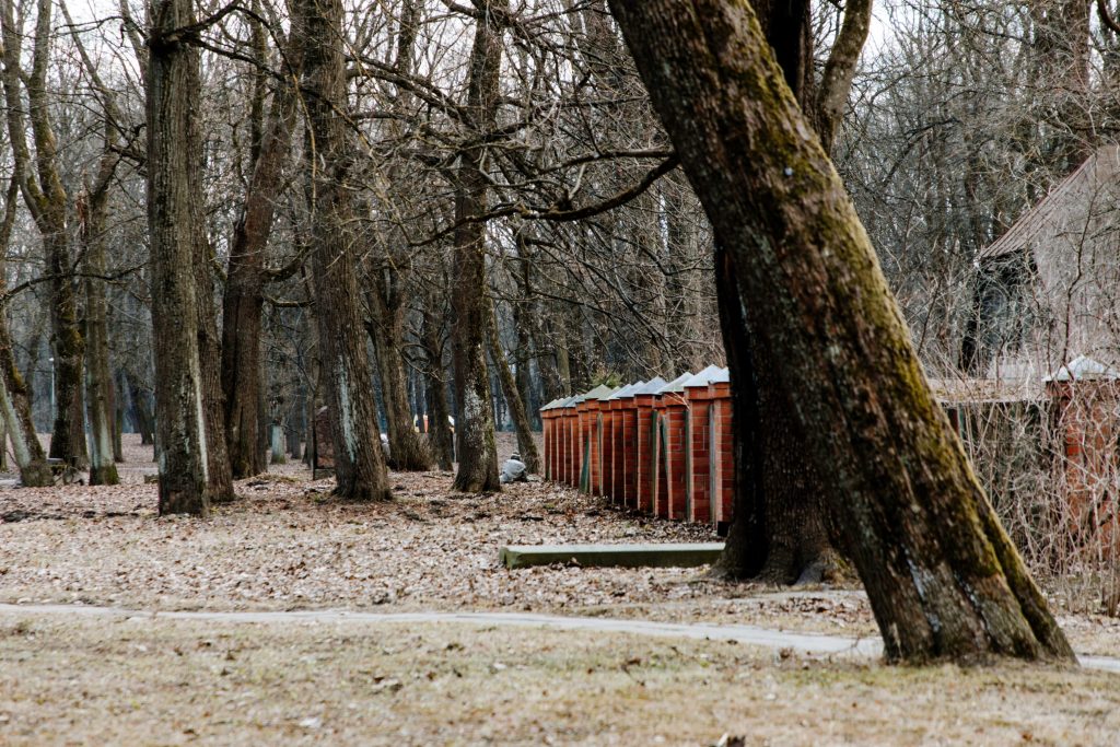 Lielo kapu vērtību saglabāšana un teritorijas infrastruktūras attīstība (Klusā iela 2) - Matuseteenused, Park - ehituse fotod