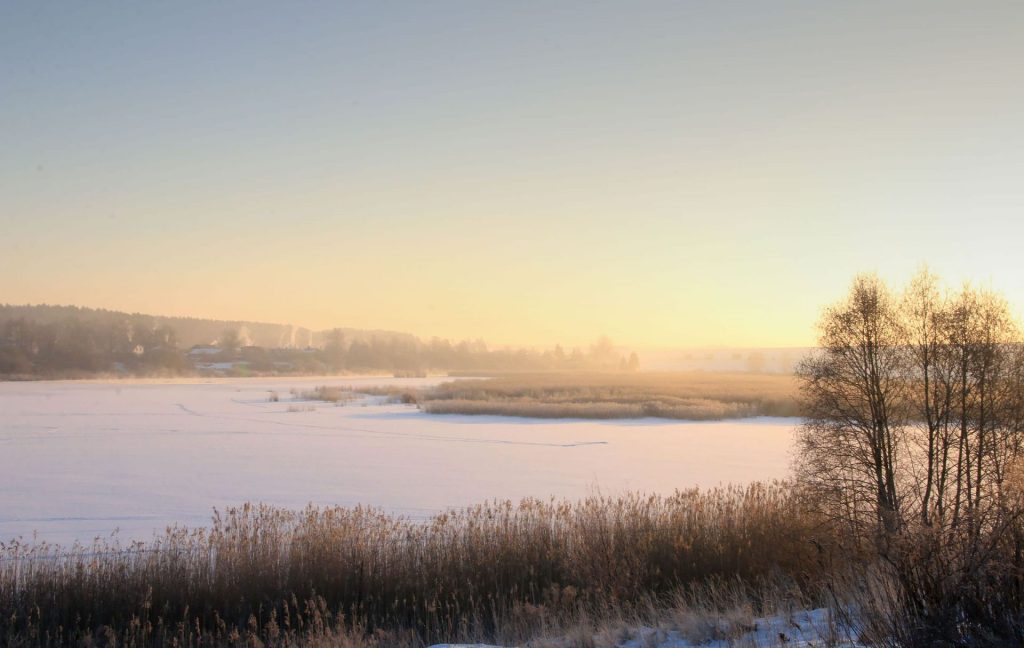 Zirņu sala (Attekas ceļš 1) - Zemes gabali - vizualizācija
