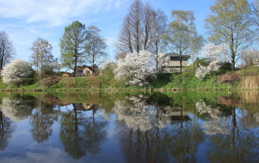 Zirņu sala (Attekas ceļš 1) - Zemes gabali - vizualizācija