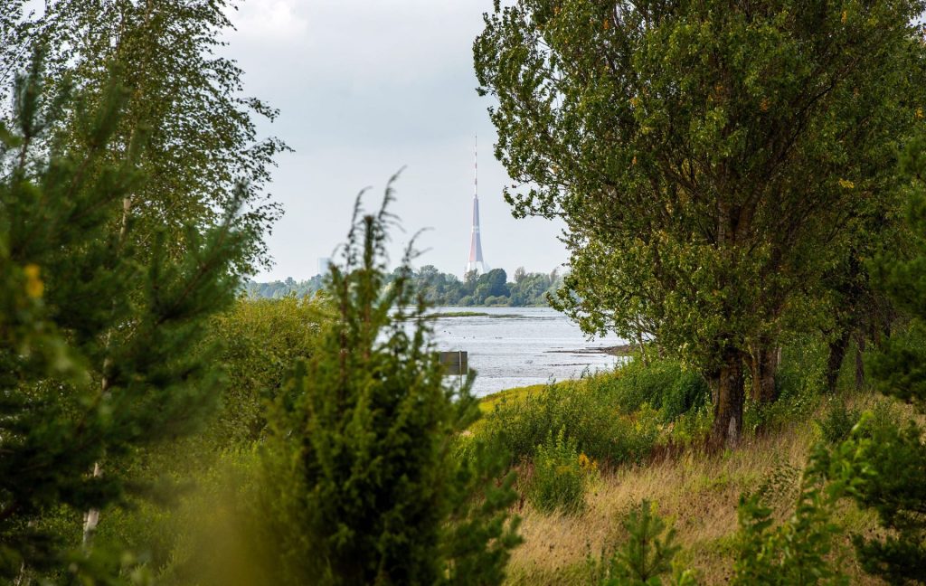 Zirņu sala (Attekas ceļš 1) - Zemes gabali - vizualizācija