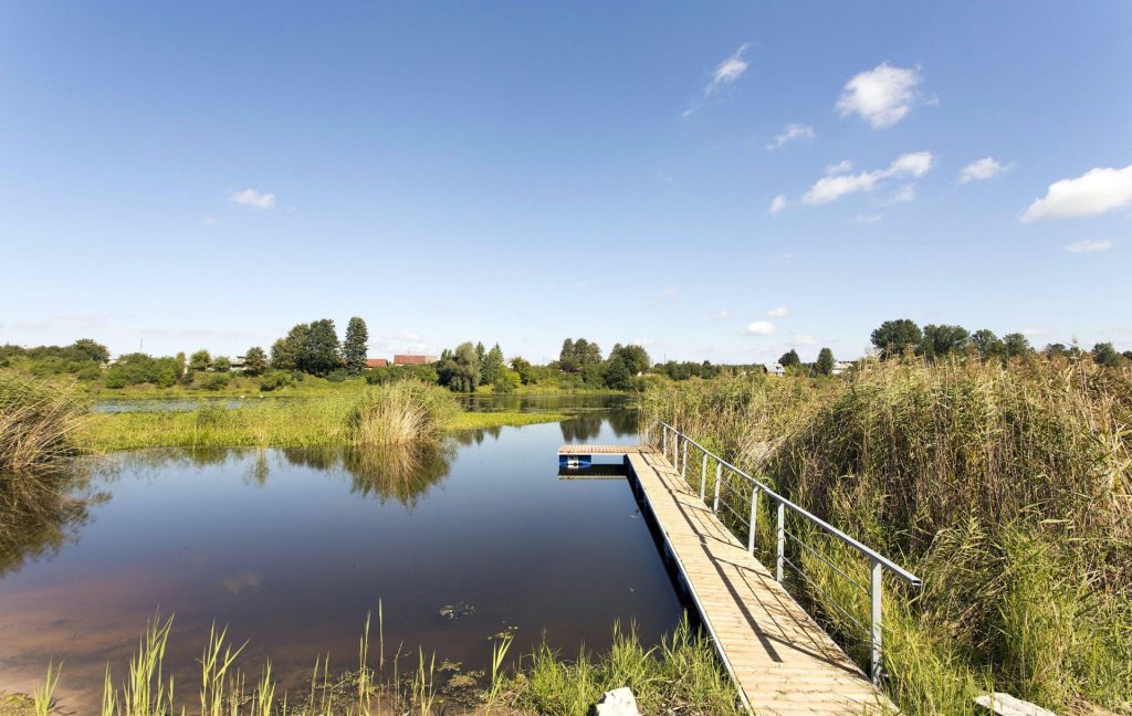 Zirņu sala (Attekas ceļš 1) - Zemes gabali - vizualizācija