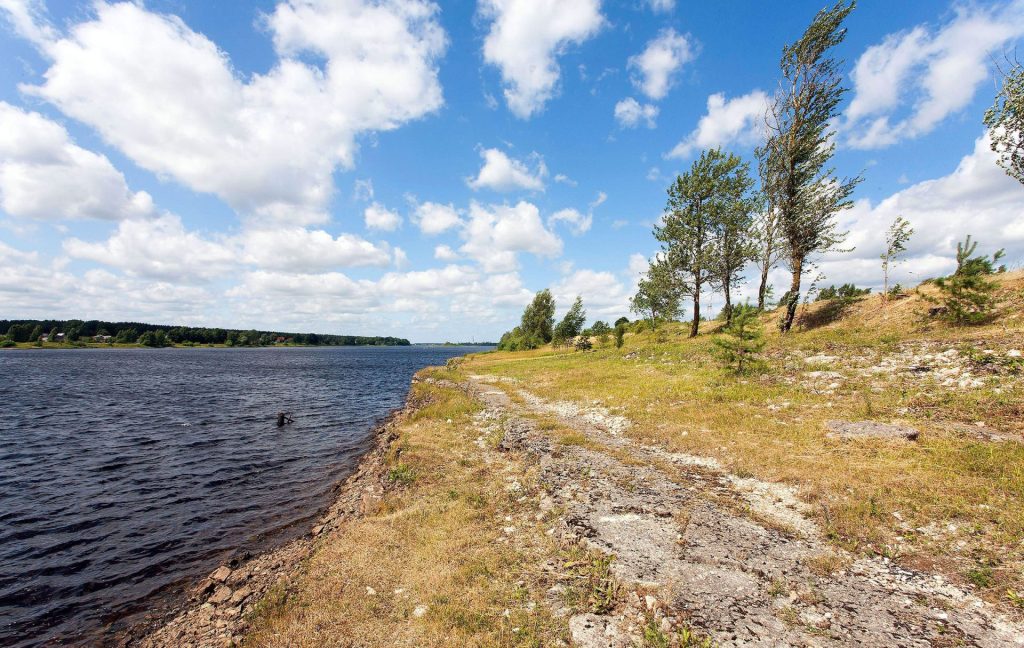Zirņu sala (Attekas ceļš 1) - Zemes gabali - vizualizācija