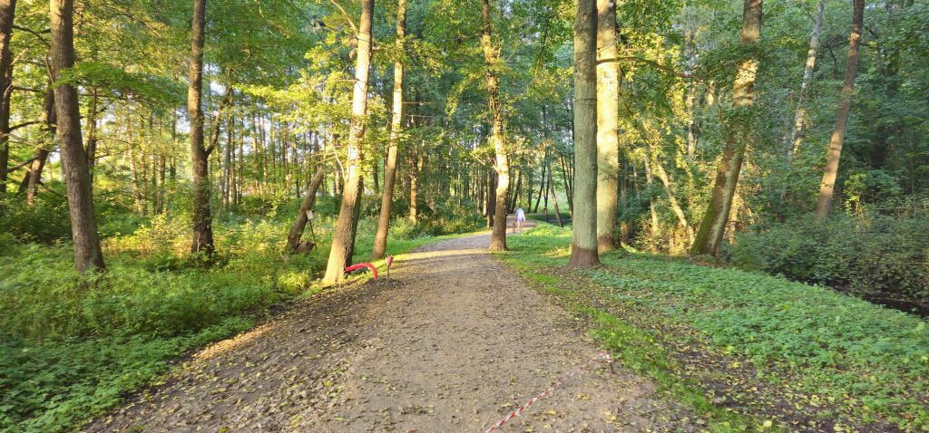 Mārupītes Mežaparka Infrastruktūras Izbūve - 1-6. kārta (Mārupītes mežaparks) - Park - construction photos
