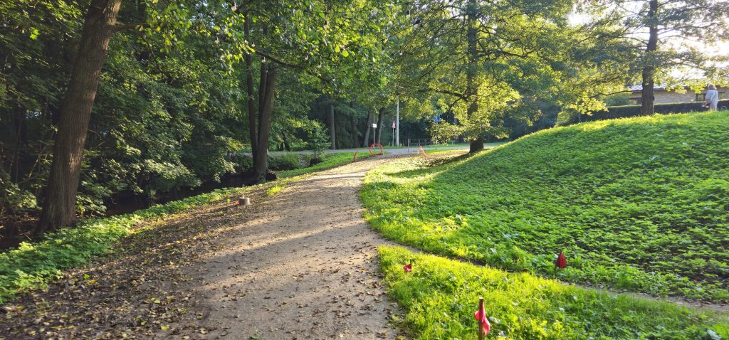Mārupītes Mežaparka Infrastruktūras Izbūve - 1-6. kārta (Mārupītes mežaparks) - Park - construction photos