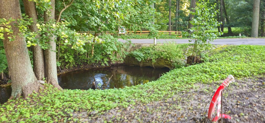 Mārupītes Mežaparka Infrastruktūras Izbūve - 1-6. kārta (Mārupītes mežaparks) - Park - construction photos