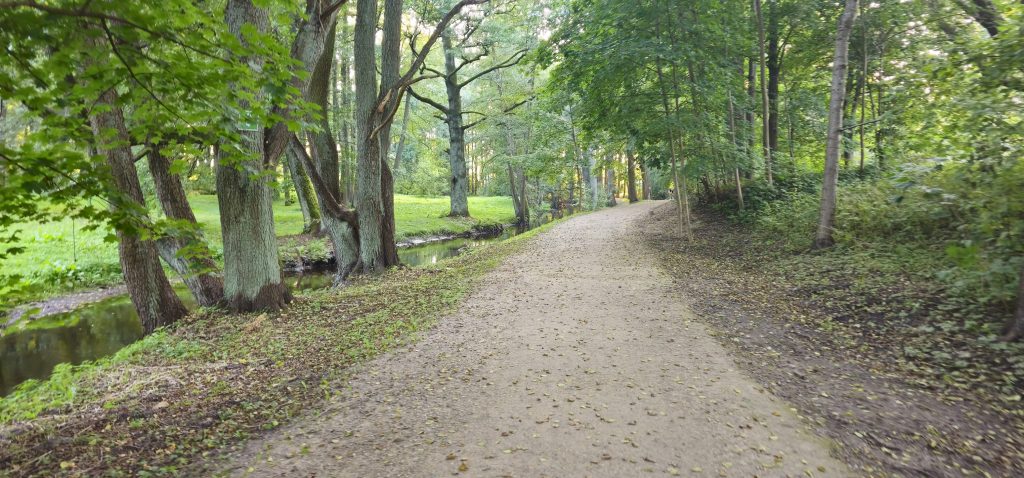 Mārupītes Mežaparka Infrastruktūras Izbūve - 1-6. kārta (Mārupītes mežaparks) - Park - construction photos
