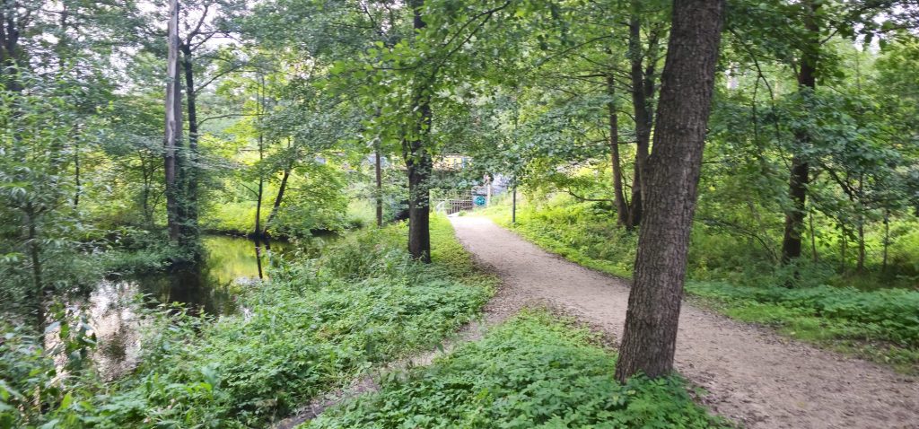 Zaļā veloceliņa atjaunošana (Saules aleja 1) - Jalgrattatee - ehituse fotod