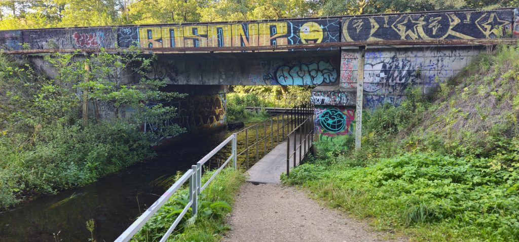 Zaļā veloceliņa atjaunošana (Saules aleja 1) - Jalgrattatee - ehituse fotod