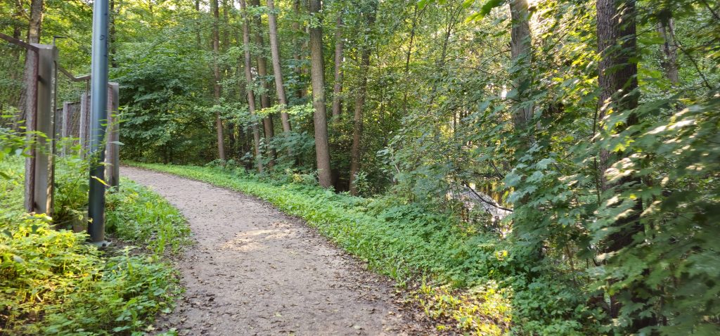 Zaļā veloceliņa atjaunošana (Saules aleja 1) - Jalgrattatee - ehituse fotod