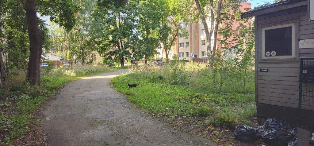 Zvaigžņu iela 29 (Zvaigžņu iela 29) - Daugiabutis - statybų nuotraukos