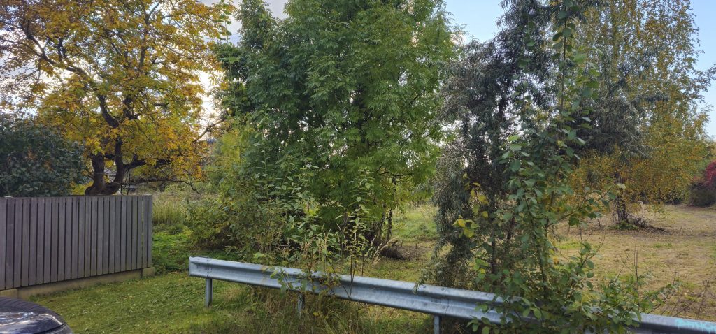 Krīta ielas posma izbūve (Krīta iela) - Road - construction photos