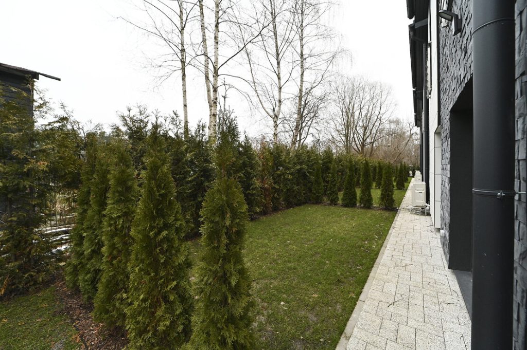 Mežaparka ozoli (Kokneses prospekts 6) - Rindu mājas - vizualizācija