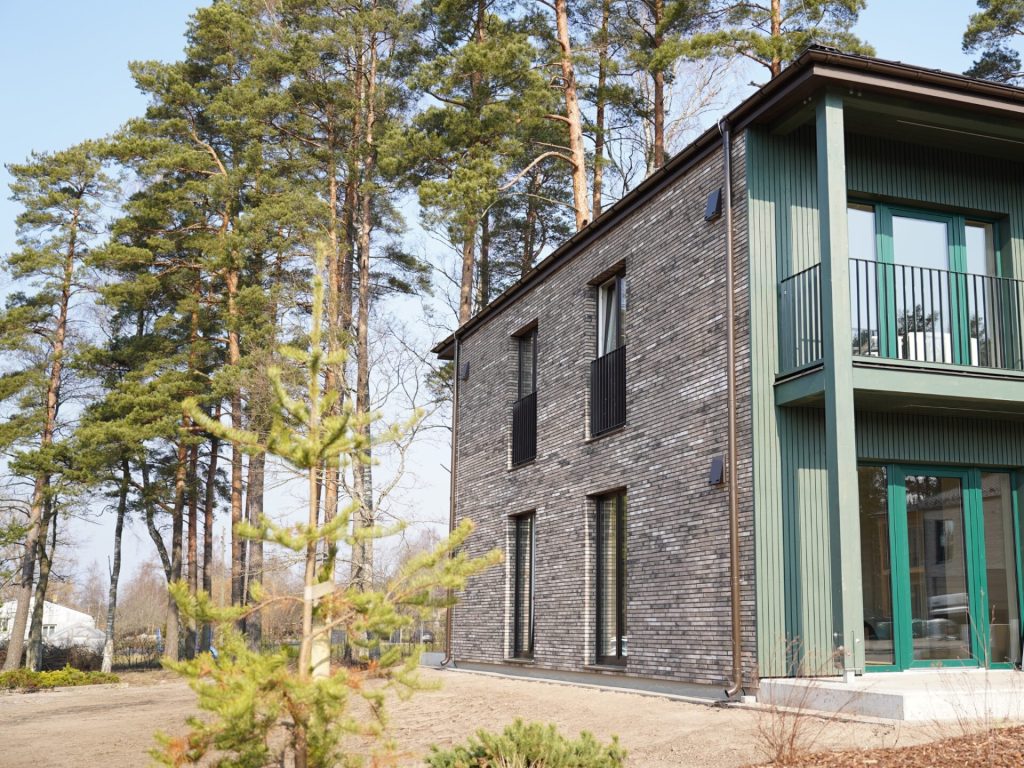 Dzilnupes - 2.kārta (Mežezera iela 4) - Multi apartment - visualization