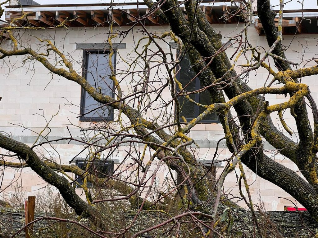 Dižozolu nami (Kantora iela 115,117) - Row housing - construction photos