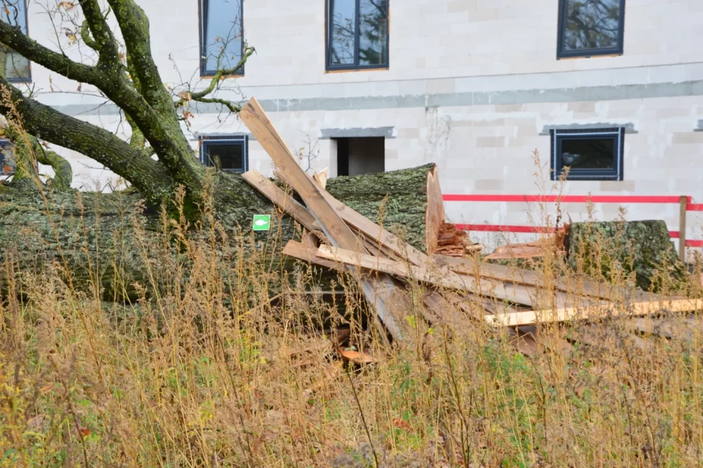 Dižozolu nami (Kantora iela 115,117) - Row housing - construction photos