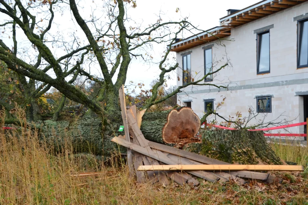 Dižozolu nami (Kantora iela 115,117) - Row housing - construction photos