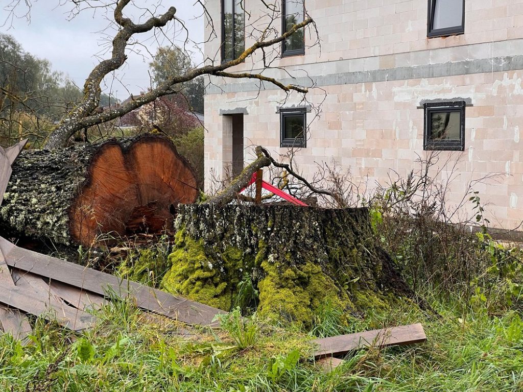 Dižozolu nami (Kantora iela 115,117) - Row housing - construction photos
