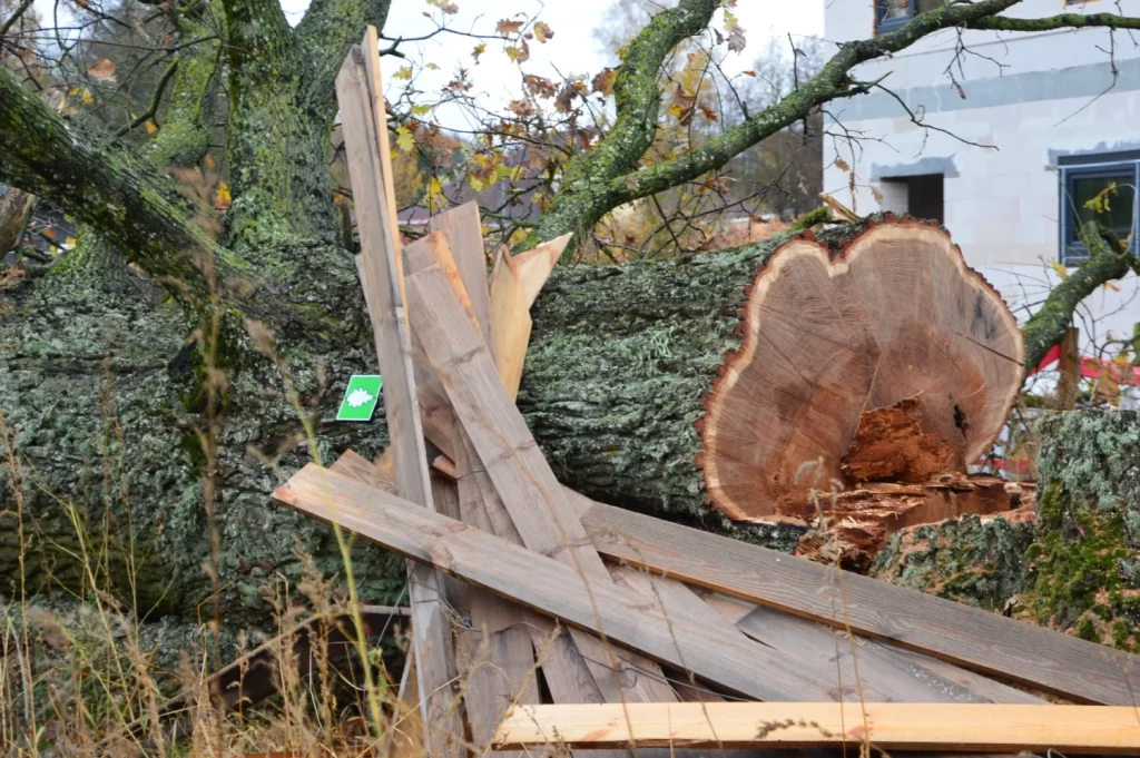 Dižozolu nami (Kantora iela 115,117) - Row housing - construction photos
