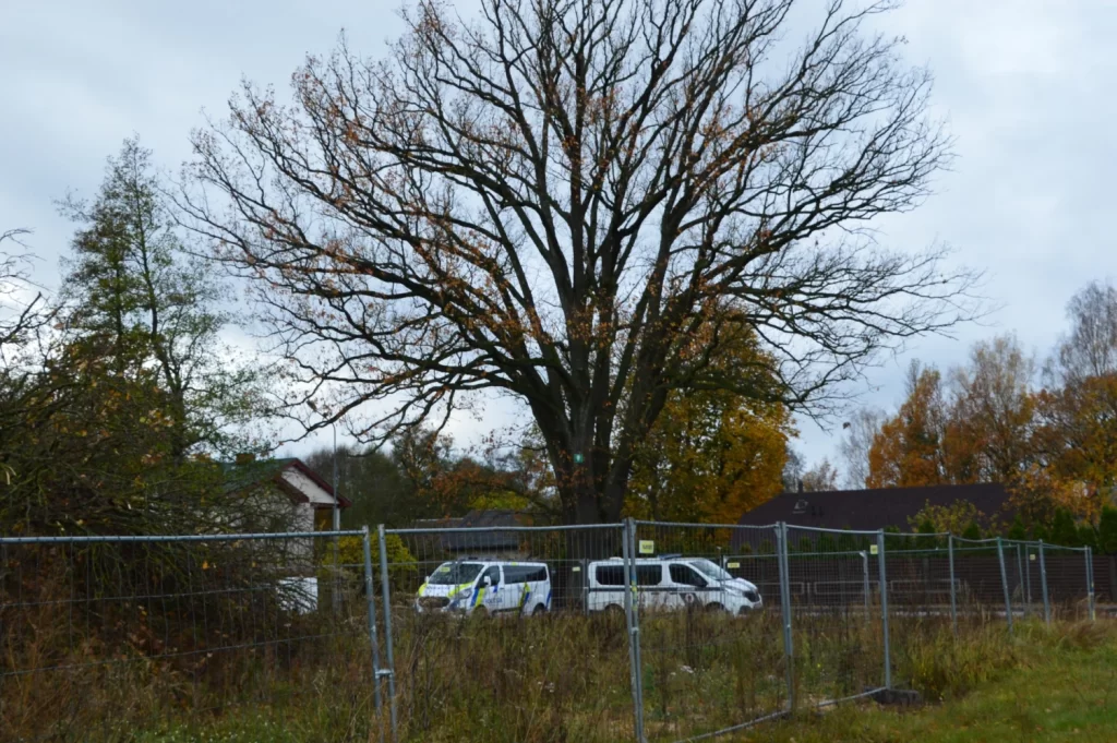 Dižozolu nami (Kantora iela 115,117) - Row housing - construction photos