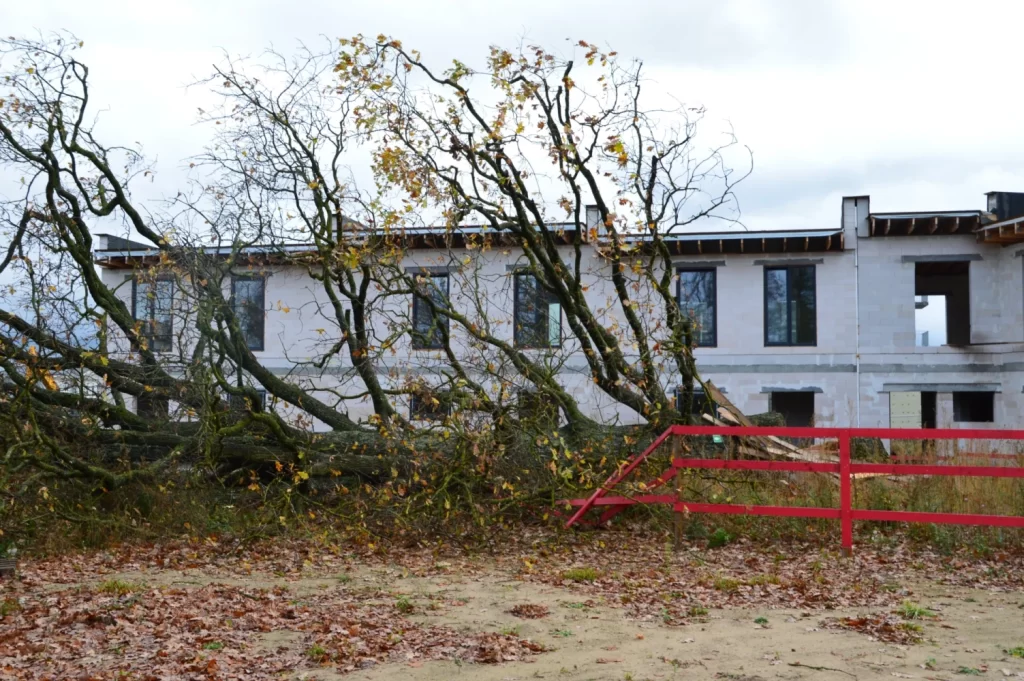 Dižozolu nami (Kantora iela 115,117) - Row housing - construction photos