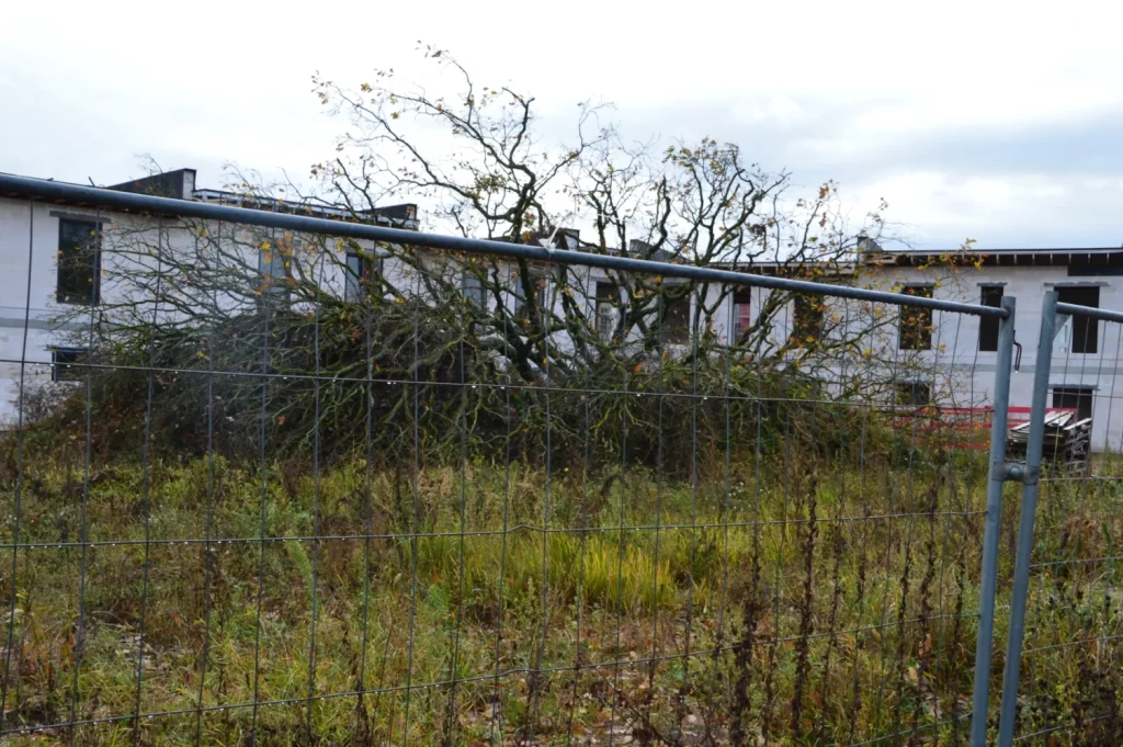 Dižozolu nami (Kantora iela 115,117) - Row housing - construction photos