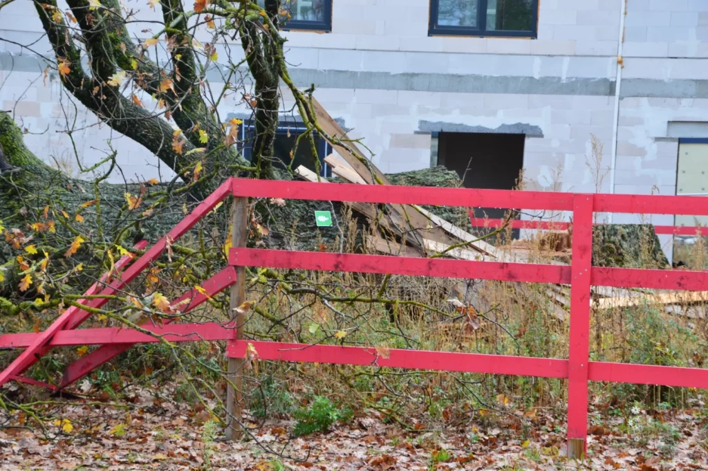 Dižozolu nami (Kantora iela 115,117) - Row housing - construction photos