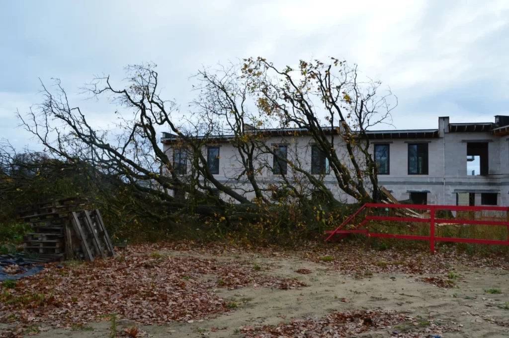 Dižozolu nami (Kantora iela 115,117) - Row housing - construction photos