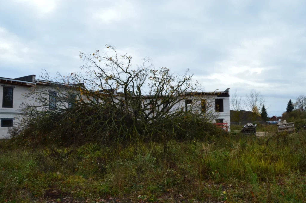 Dižozolu nami (Kantora iela 115,117) - Row housing - construction photos