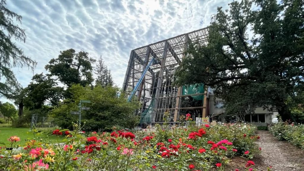 LU Botāniskā dārza palmu mājas atjaunošana (Kandavas iela 2) - Other cultural - construction photos