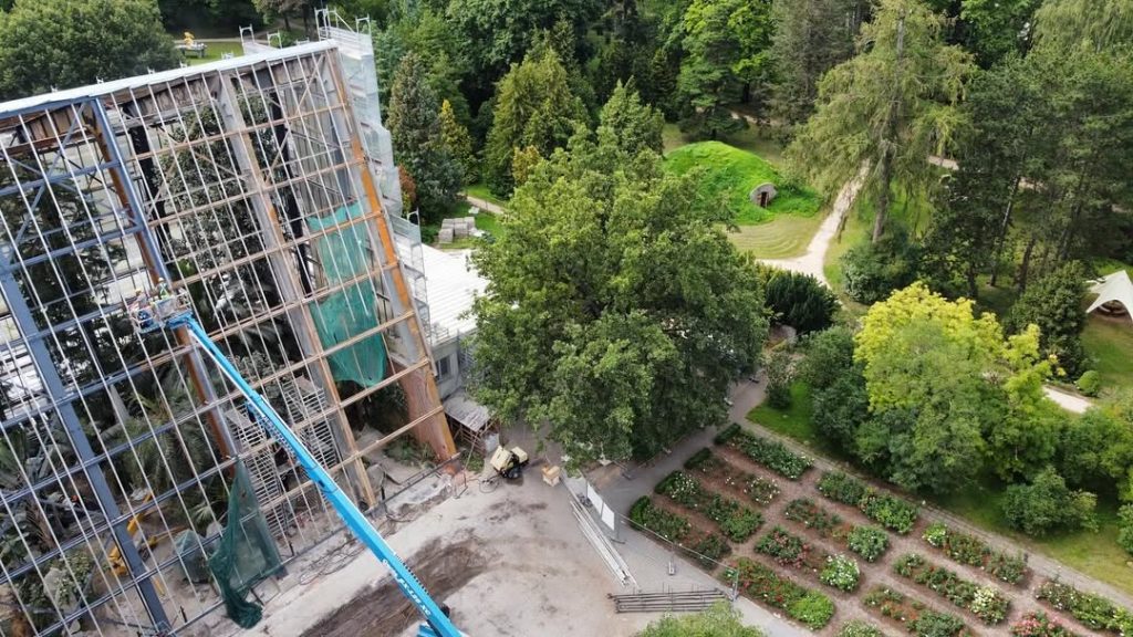 LU Botāniskā dārza palmu mājas atjaunošana (Kandavas iela 2) - Other cultural - construction photos