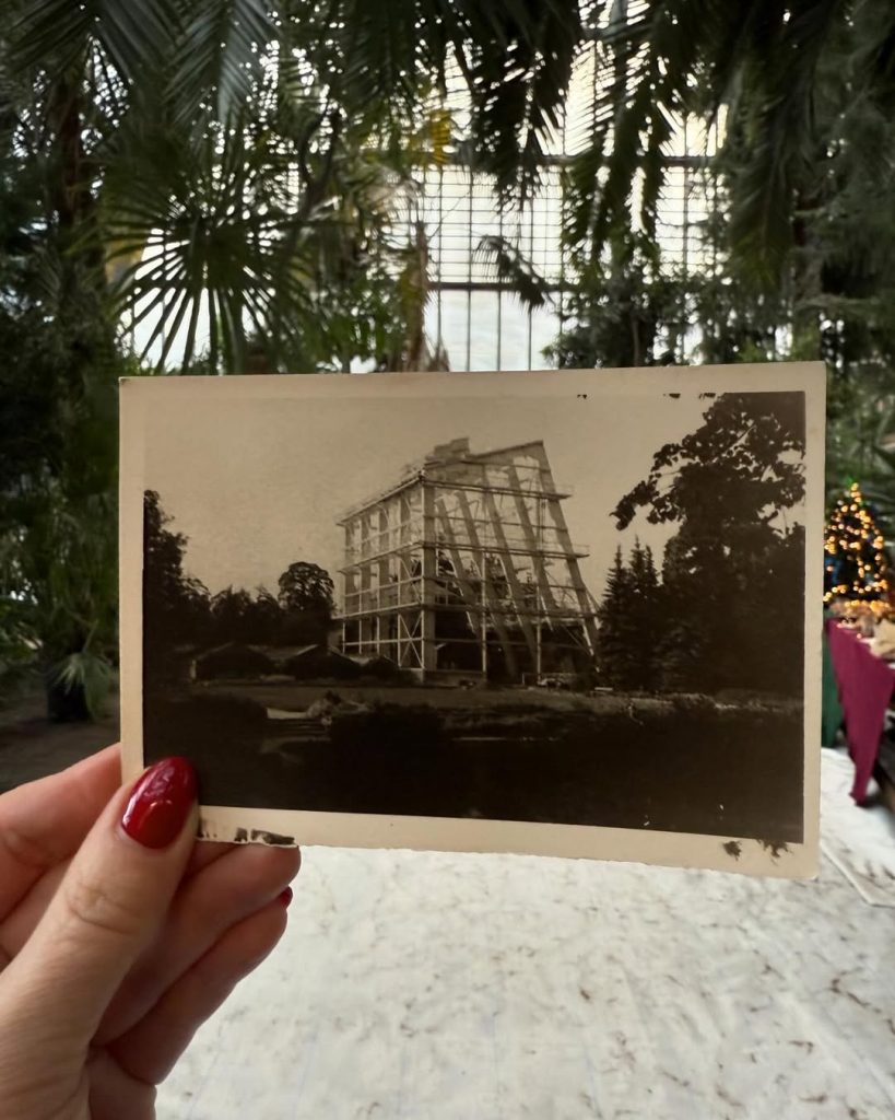 LU Botāniskā dārza palmu mājas atjaunošana (Kandavas iela 2) - Other cultural - construction photos