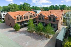 Karališkas pušynas visuaalne