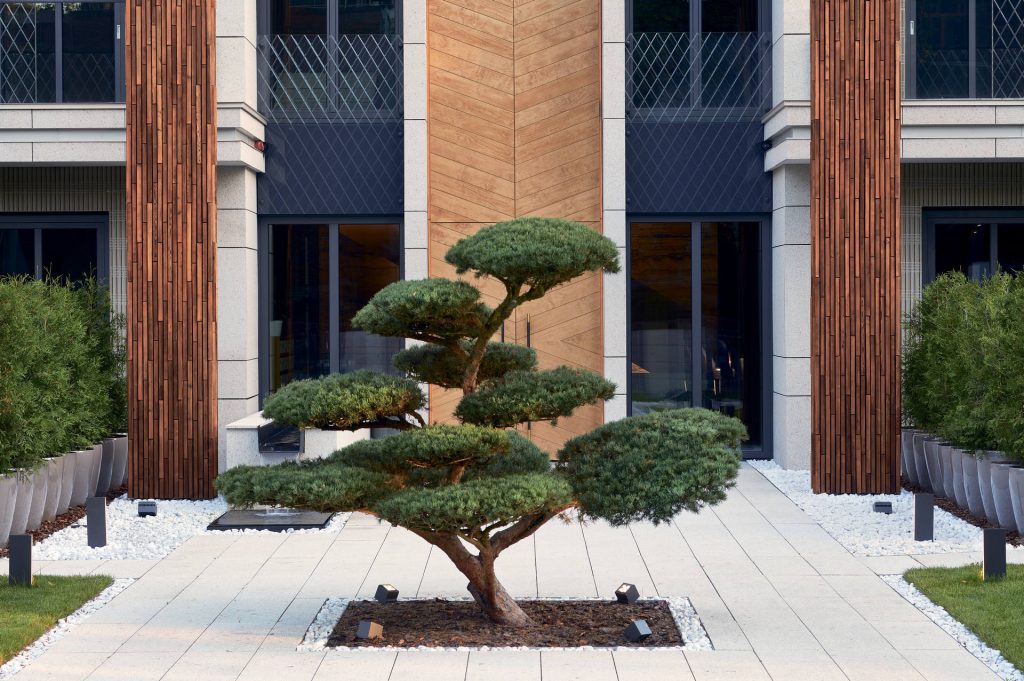 Villa Milia (Dzintaru prospekts 21) - Multi apartment - visualization