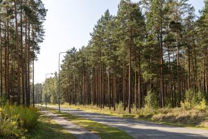 Silaciems – 1. kārta vizualizacija