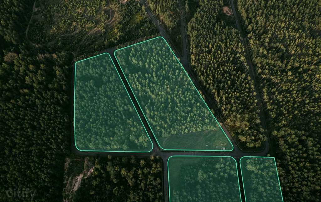 Silaciems - 1. kārta (Mucenieki, Lāču iela, Līkā iela, Čiekuru iela, Celmu iela) - Sklypų kvartalas - vizualizacija