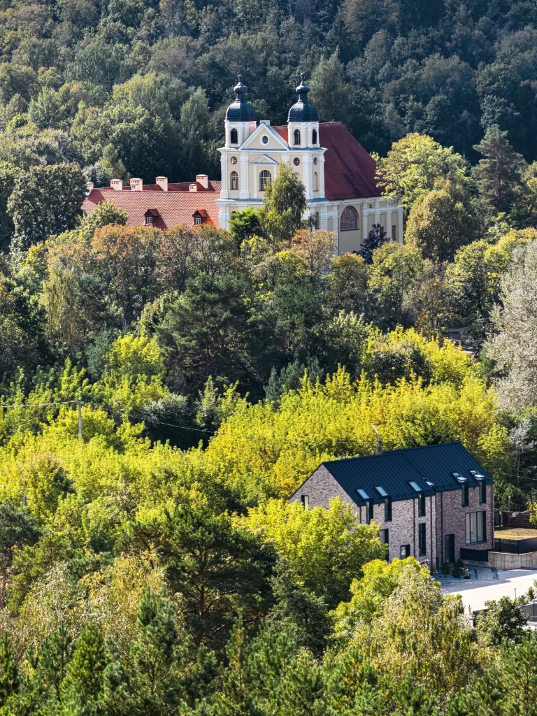 Vaidilutės namai (Vaidilutės g. 37) - Row housing - visualization